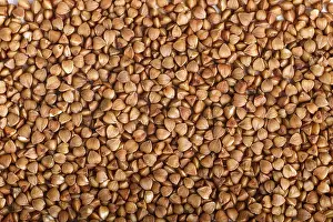 Top View Buckwheat Stampe: Texture of buckwheat. Top view
