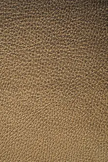 Deserted Building Surface Stampe: Texture of leather