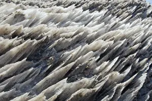 Eastern Europe Rock Formations Stampe: Texture of salt mountain, Sovata