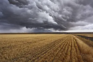 Cloudy Atmosphere Photography Stampe: Thunderclouds above fields after harvesting