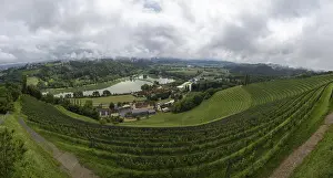 Immagini con data 30 maggio 2024: Nuvole temporalesche sopra vigneto, Silberberg.