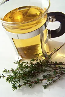 Thyme Tea Benefits Stampe: Thyme tea