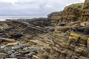Orcadi Stampe: Strati di arenaria devoniana inclinati.