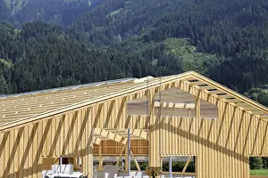 Wooden Structure Architecture Stampe: Timber construction, timber construction