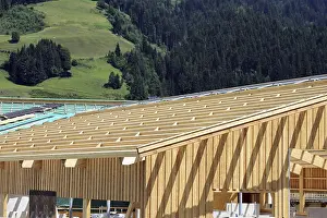 Timber Construction Stampe: Timber construction, timber construction