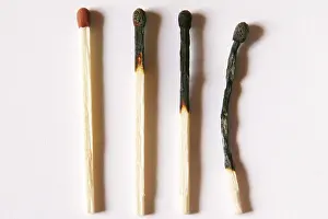 Glowing Ember Stampe: Tinders
