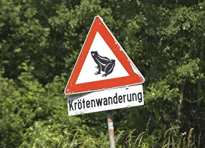 Wildlife Protection Stampe: Toad migration or frog migration
