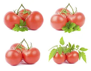 Studio Shot Vegetable Stampe: Tomato
