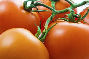 Food Images Stampe: Tomato background