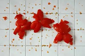 Colorful Vegetable Stampe: Tomatoes