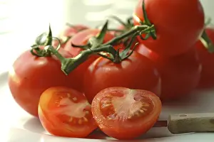 Solanaceae Plant Stampe: Tomatoes