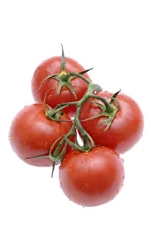 Close Up Tomatoes Stampe: Tomatoes