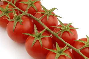 Organic Tomatoes Stampe: Tomatoes