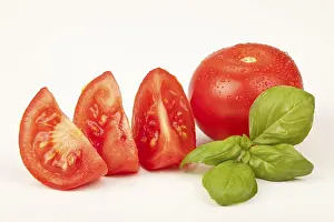Vitamin Rich Tomatoes Stampe: Tomatoes with basil