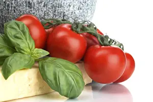 Fresh Tomatoes Stampe: Tomatoes and basil