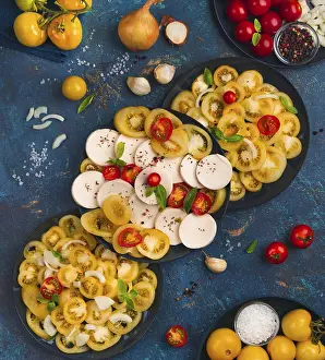 Studio Background Shots Stampe: Tomatoes in different variations