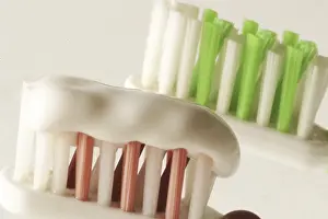 Oral Hygiene Stampe: Toothbrush with tooth paste