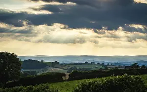 Setting Sun Landscape Stampe: Torquay Fields in the rays of the setting sun