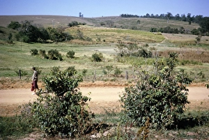 Historic City Centre Brazil Stampe: Tourist visitor walking in nature