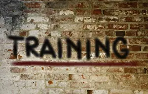 Professional Learning Stampe: Training Concept