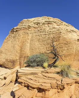 Rocky Formations In Utah Stampe: Tree and Candy Cliffs, rock formations