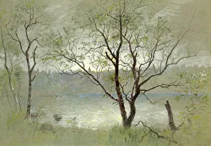 Historic Painting Restoration Stampe: Two trees in the foreground framing the composition