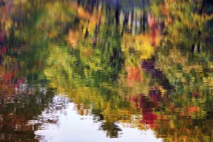 US American Fall Scenery Stampe: Trees reflected in water surface