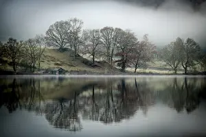 Ambleside Landscape Photography Stampe: Trees reflected in water surface