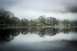 Tree Reflections In Water Stampe: Trees reflected in water surface