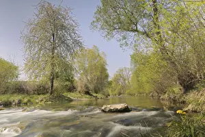 Springtime In Europe Stampe: Triesting river in spring, Triestingtal valley