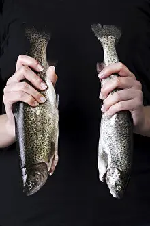 Bony Fish Habitat Stampe: Trouts