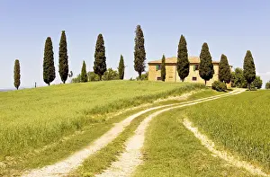 Hilly Countryside Scenery Stampe: Typical Tuscany