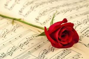 Red Coloured Flowering Plant Stampe: Мusical notes and red rose