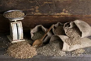 Healthy Eating Basics Stampe: Various types of cereals, wheat