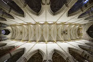 Vaulted Ceiling Photography Stampe: Vaulting, view of the vaulted ceiling