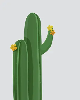 Ornamental Plant Design Stampe: Vector background with blooming cactus