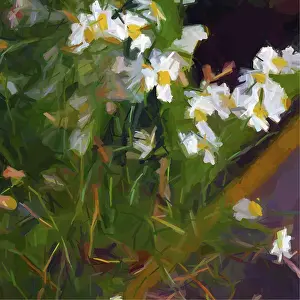 Modern Floral Design Stampe: Vector daisies composition, abstract vector art
