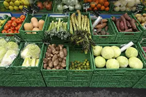 Garden Vegetables Stampe: Vegetable boxes, Chinese cabbage