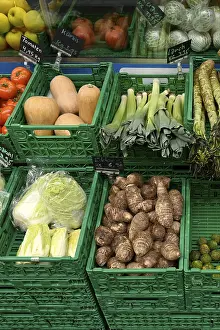 Deserted Garden Produce Stampe: Vegetable boxes, Chinese cabbage
