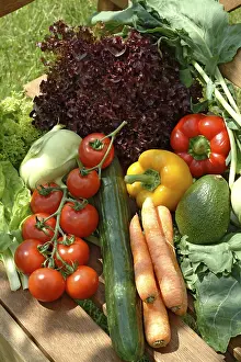 Organic Vegetable Cultivation Stampe: Vegetables