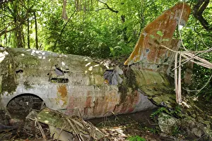 World War 2 History Stampe: Vertical stabiliser