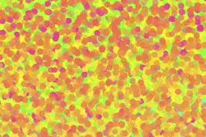 Abstract Art Background Stampe: A vibrant abstract composition featuring overlapping points patterns in pink