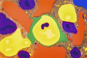 Close Up Artwork Stampe: A vibrant array of mixed colors