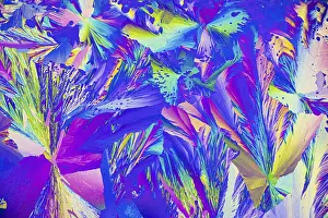 Vibrant Colors Stampe: A vibrant microcrystals under the microscope
