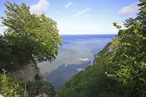 Chalk Cliffs Germany Stampe: View onto the chalk cliffs with beech forest
