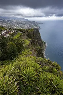 Madeira Coastal Landscape Stampe: View of the cliffs from the viewing platform