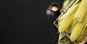 Copy Space Photo Stampe: Top view corn frame with copy space