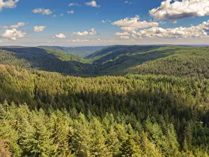 Black Forest Landscape Photography Stampe: A view down into a deep valley