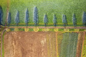Top Down View From Drone Stampe: Top Down view from a drone over Fields