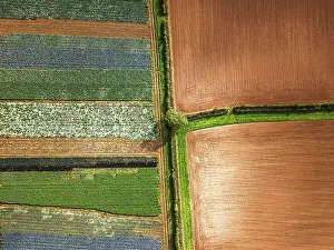 Devon Drone Images Stampe: Top down view over fields from a drone